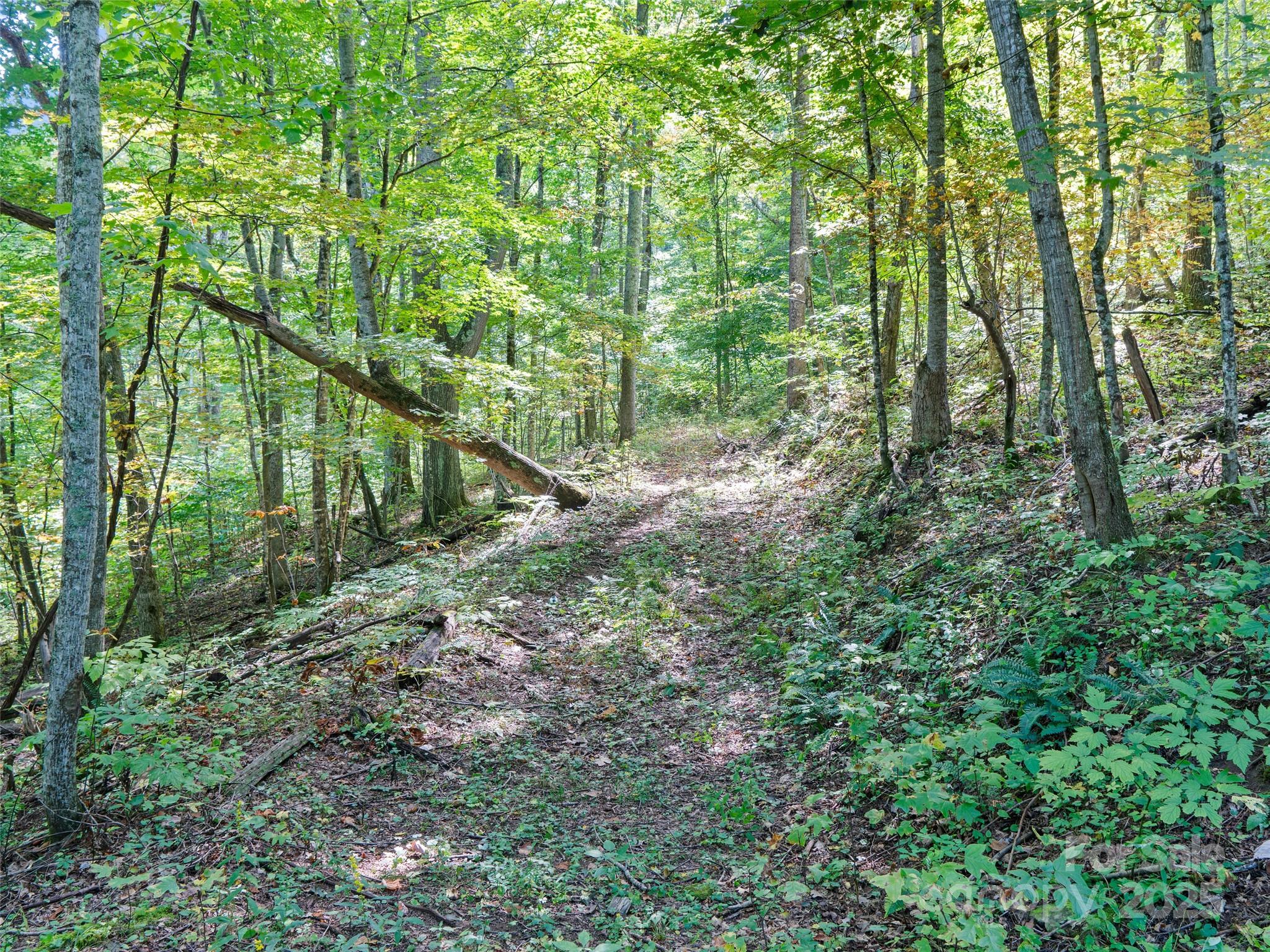 1099 Silas Branch Road Burnsville, NC 28714 - Photo 20 of 30