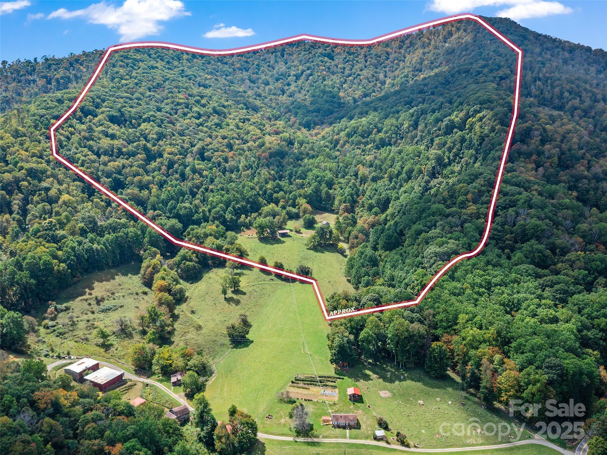 1099 Silas Branch Road Burnsville, NC 28714 - Photo 2 of 30