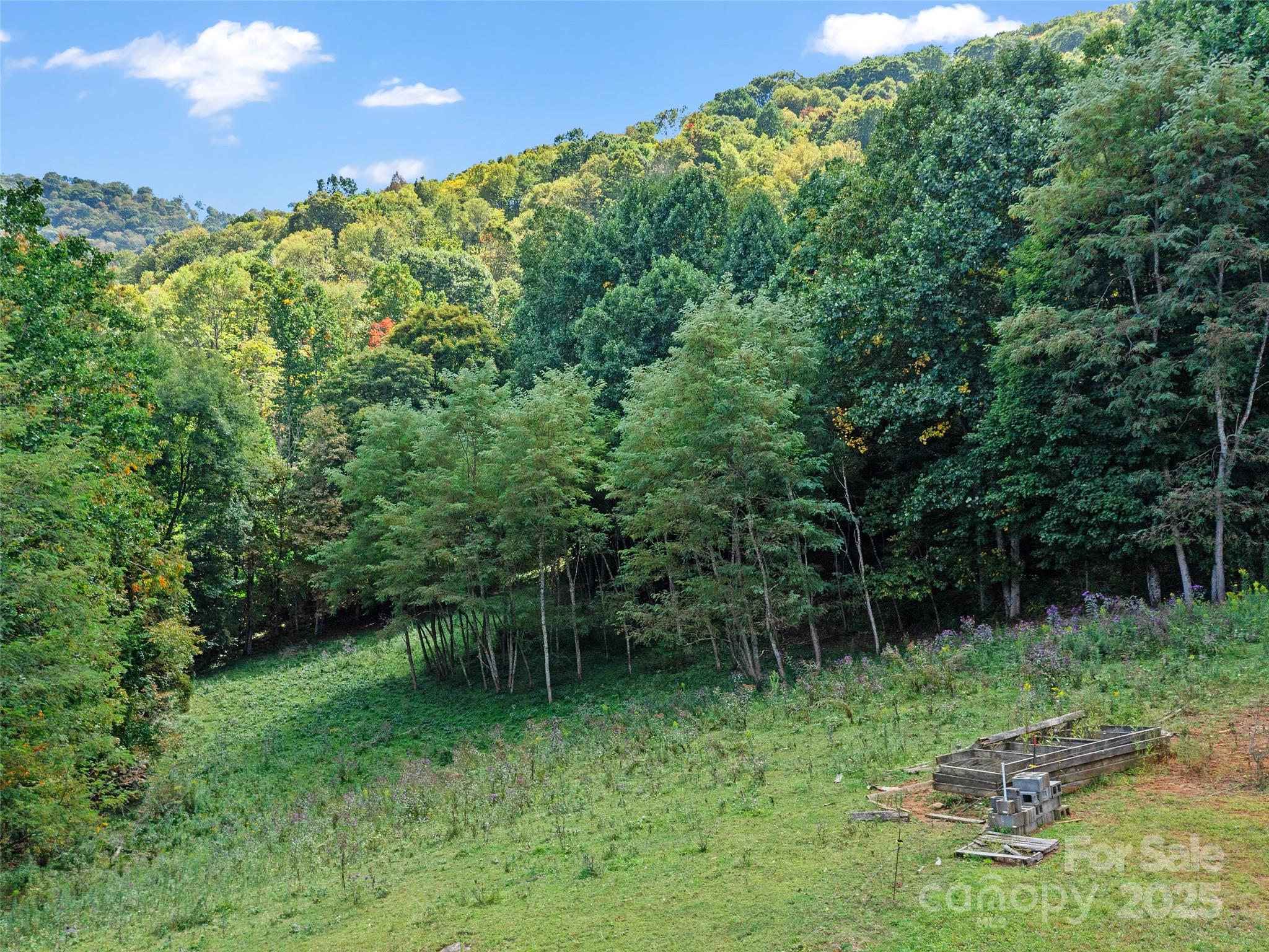 1099 Silas Branch Road Burnsville, NC 28714 - Photo 21 of 30