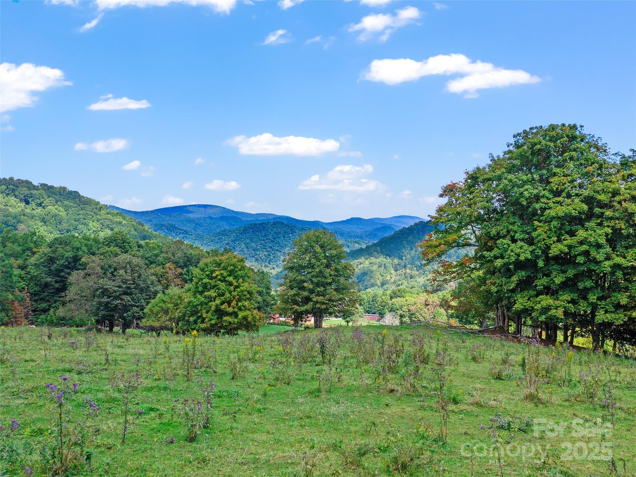 1099 Silas Branch Road Burnsville, NC 28714 - Photo 22 of 30