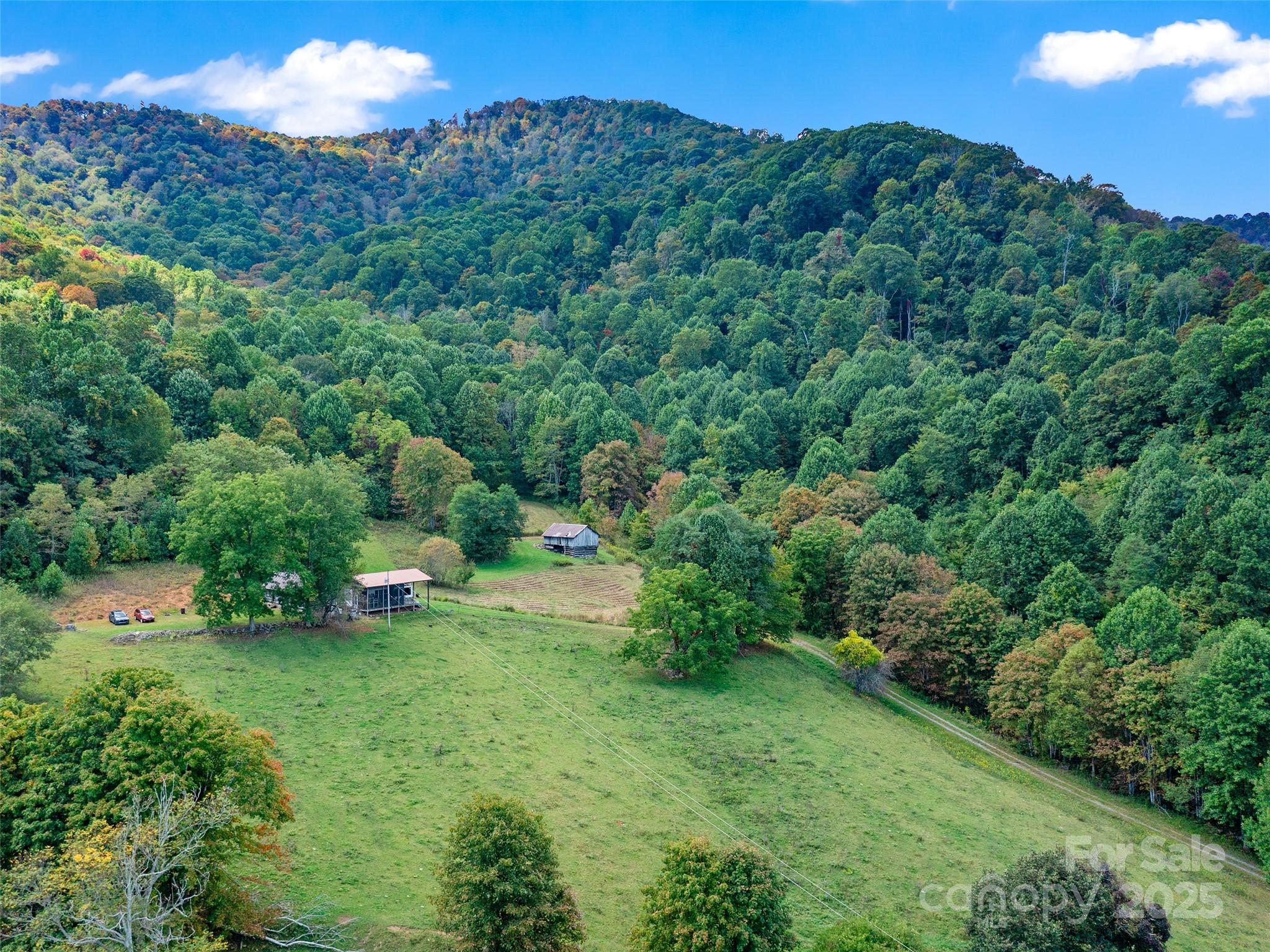 1099 Silas Branch Road Burnsville, NC 28714 - Photo 26 of 30