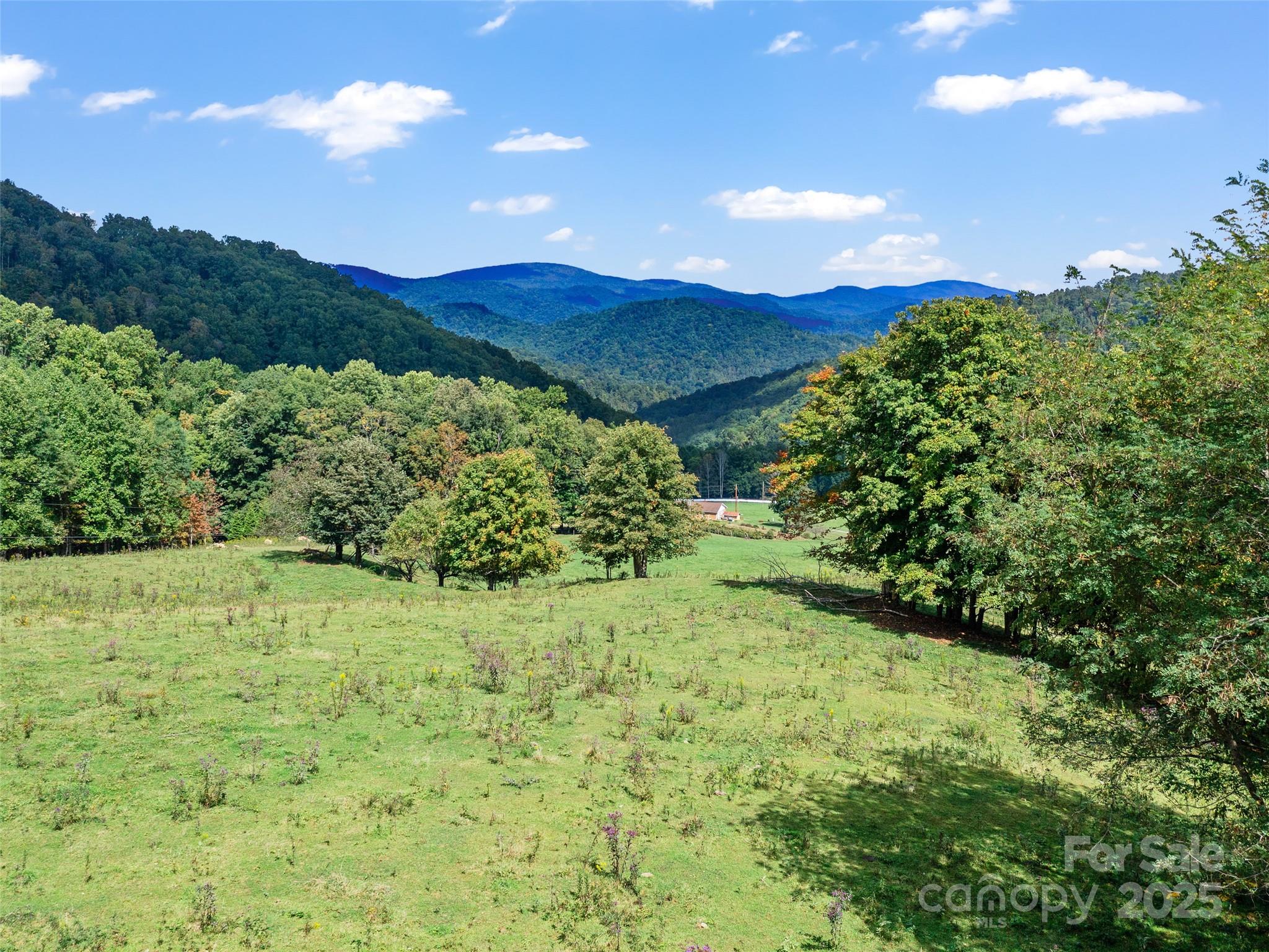 1099 Silas Branch Road Burnsville, NC 28714 - Photo 27 of 30