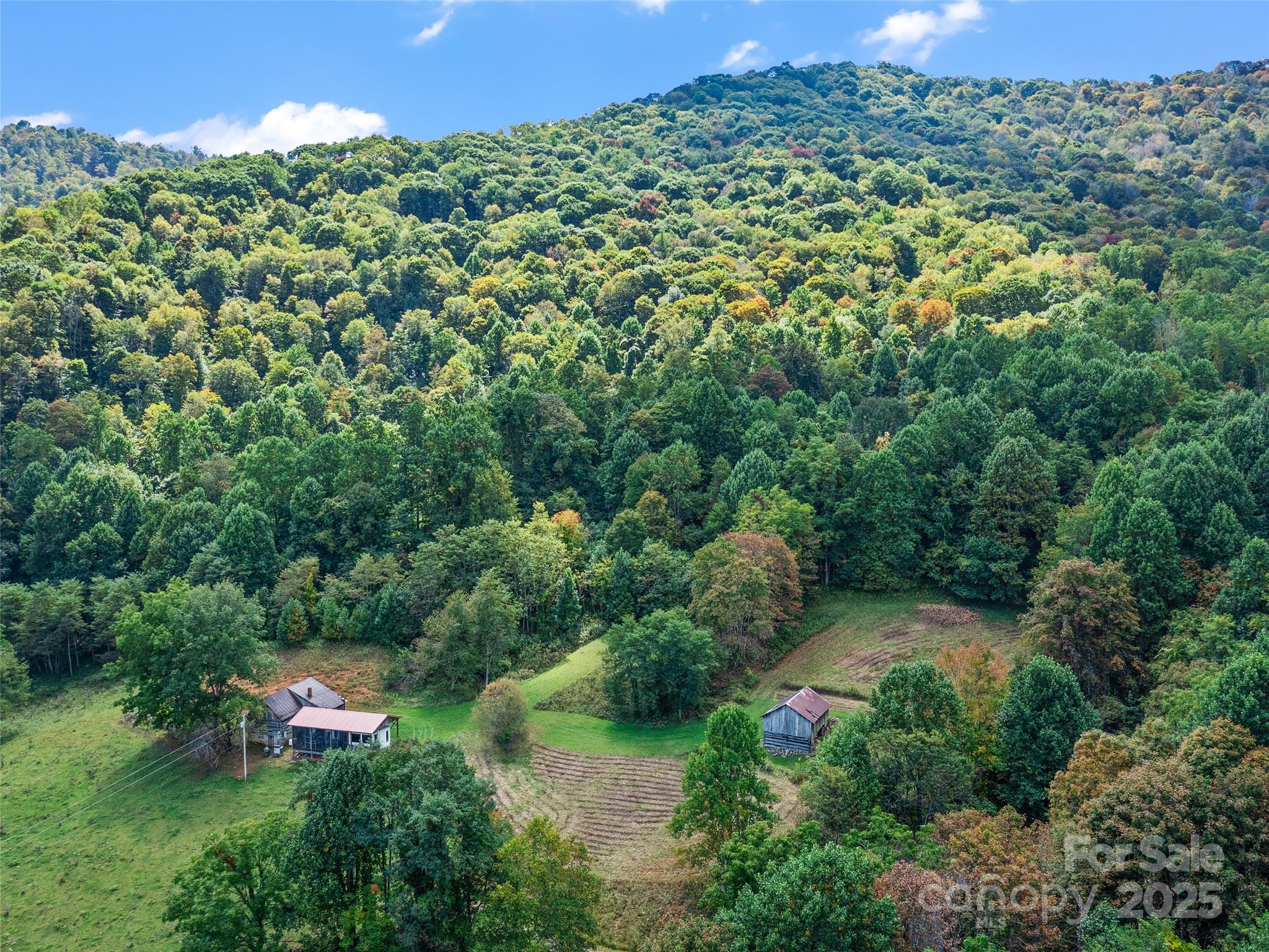 1099 Silas Branch Road Burnsville, NC 28714 - Photo 28 of 30