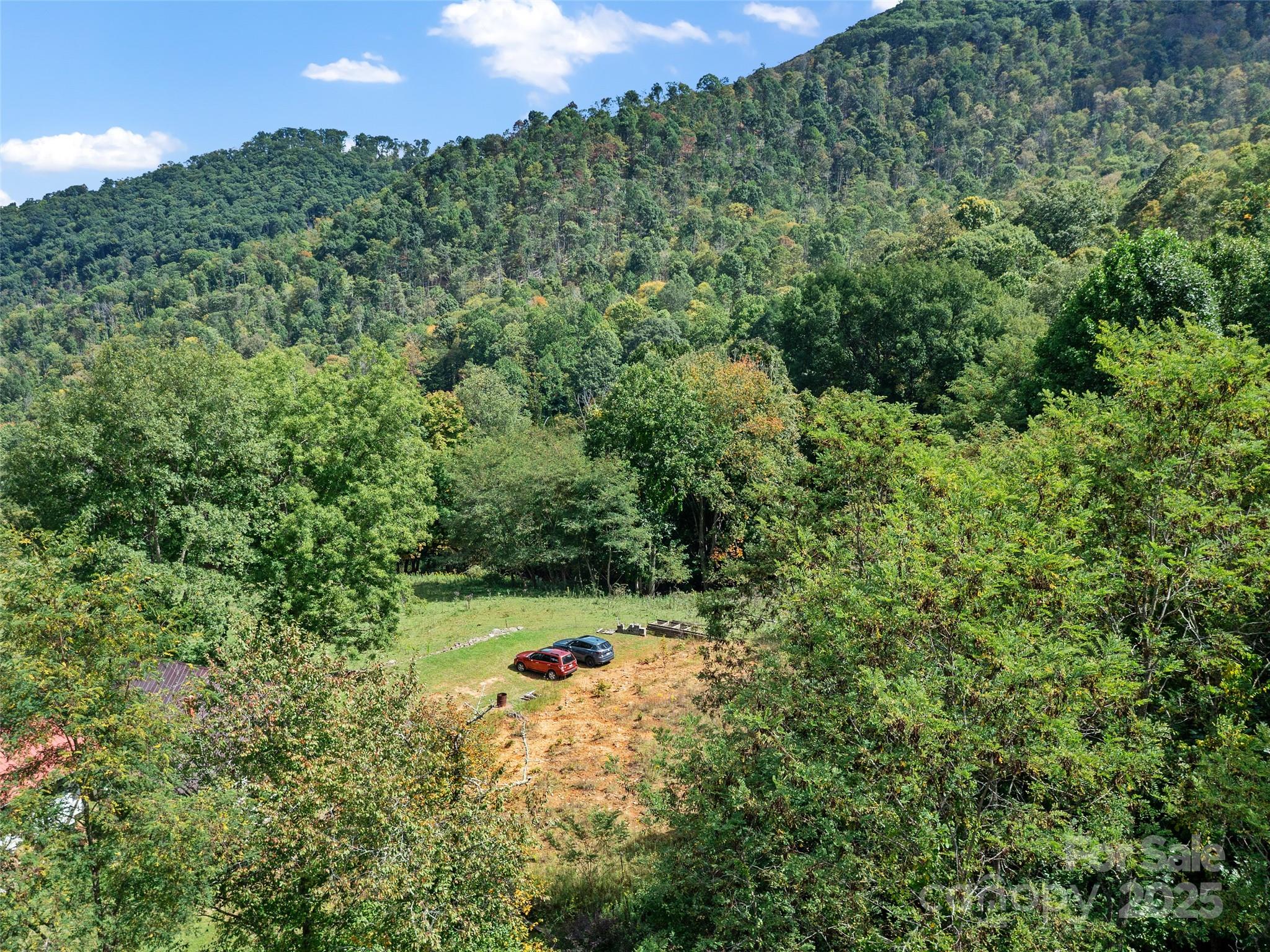 1099 Silas Branch Road Burnsville, NC 28714 - Photo 29 of 30