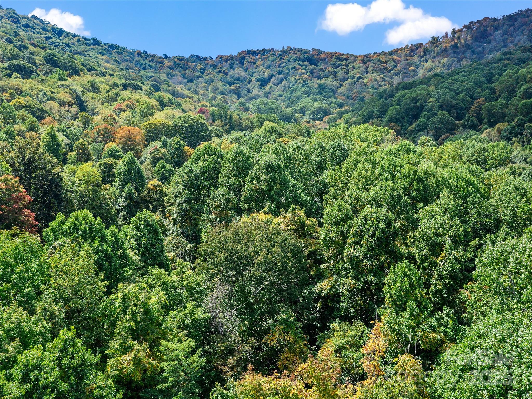 1099 Silas Branch Road Burnsville, NC 28714 - Photo 30 of 30