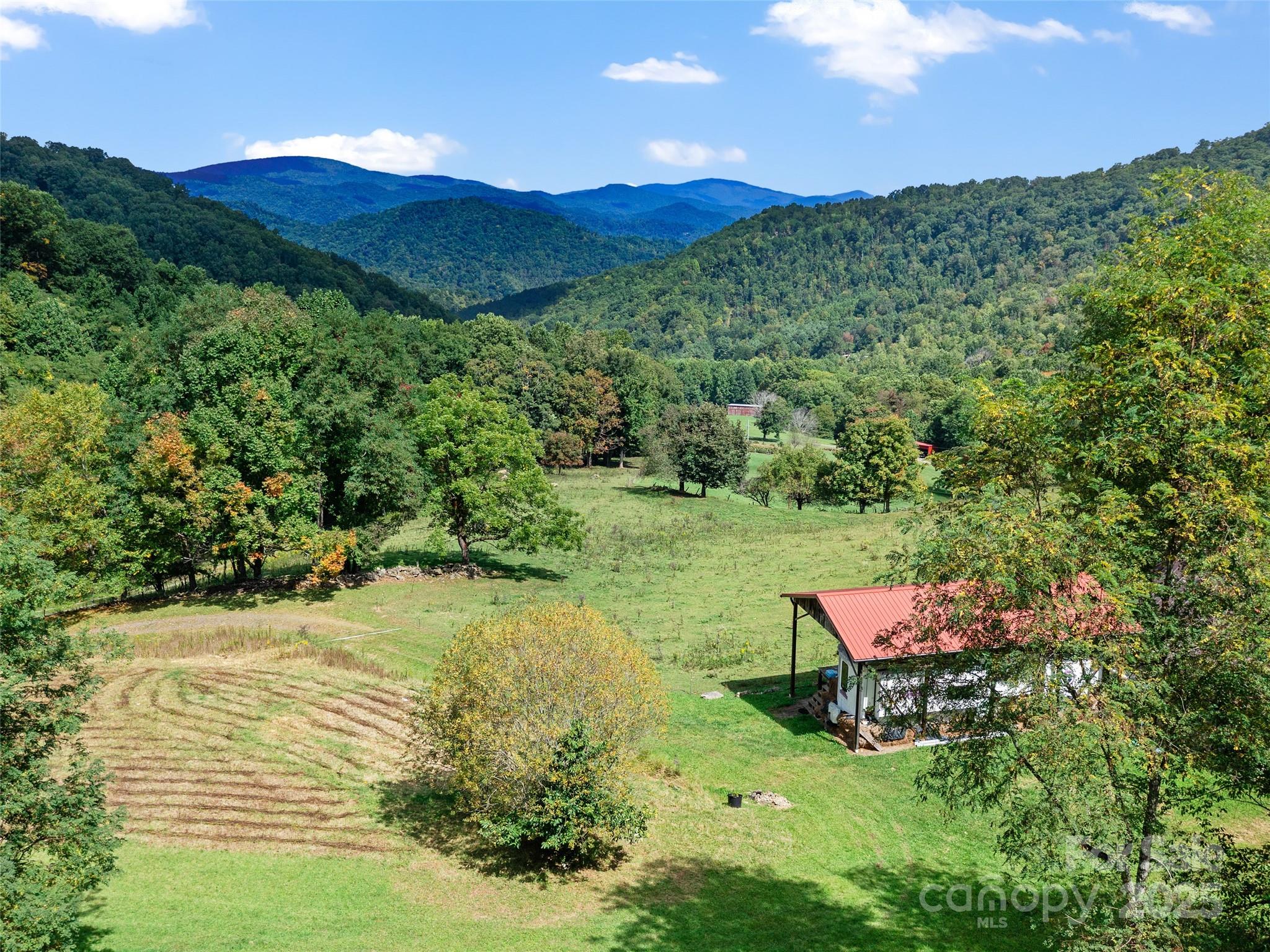1099 Silas Branch Road Burnsville, NC 28714 - Photo 3 of 30