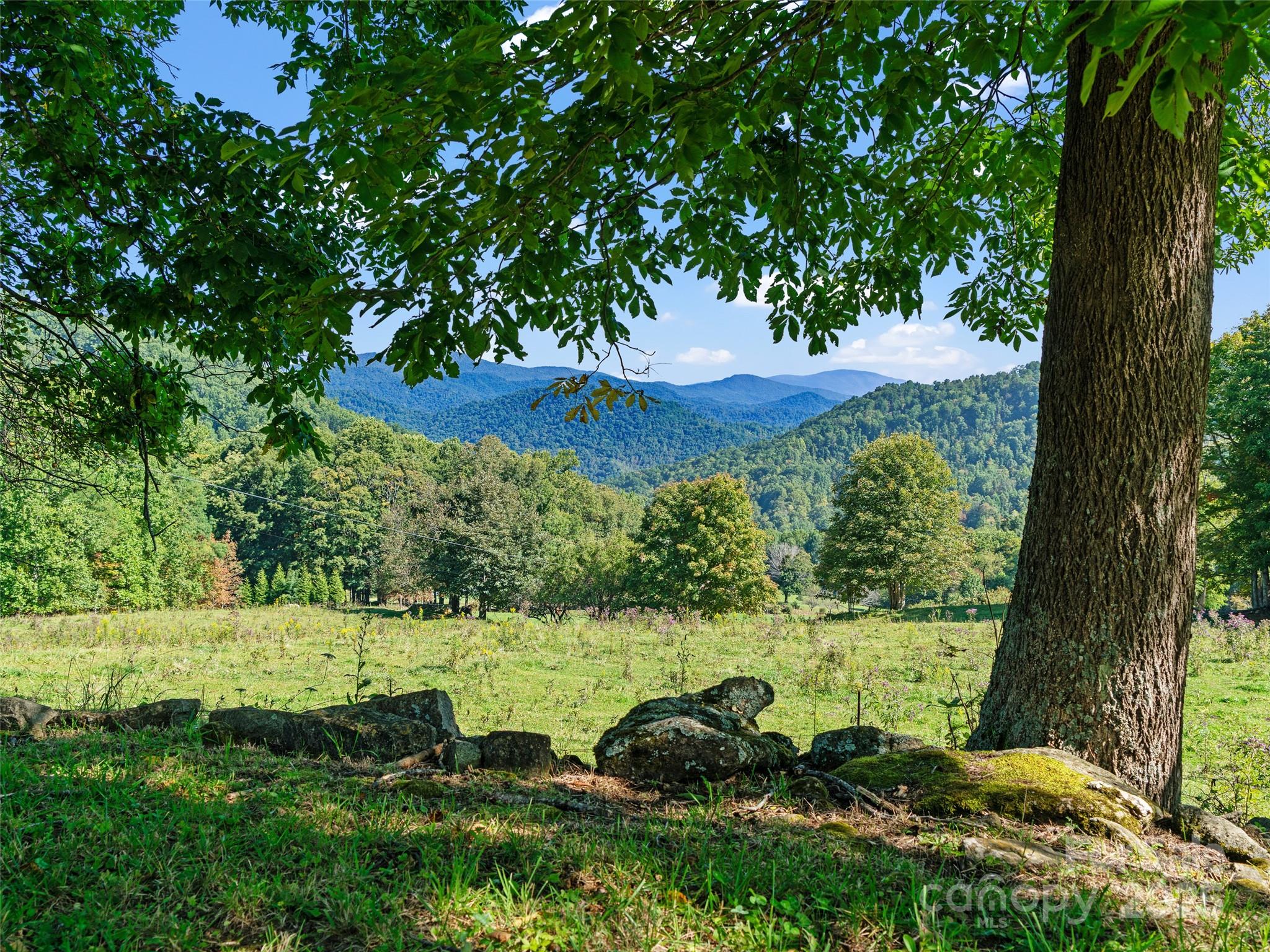 1099 Silas Branch Road Burnsville, NC 28714 - Photo 4 of 30