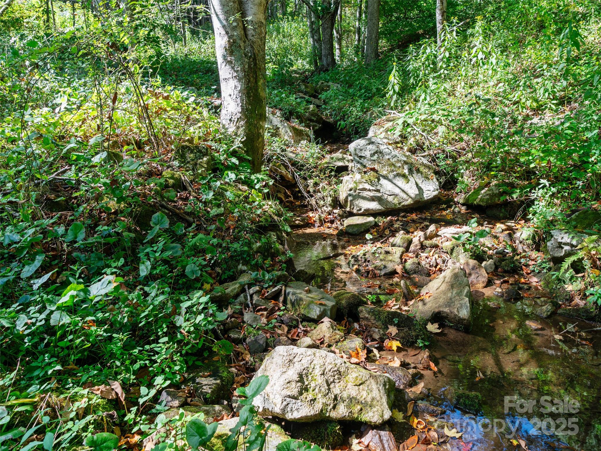 1099 Silas Branch Road Burnsville, NC 28714 - Photo 6 of 30