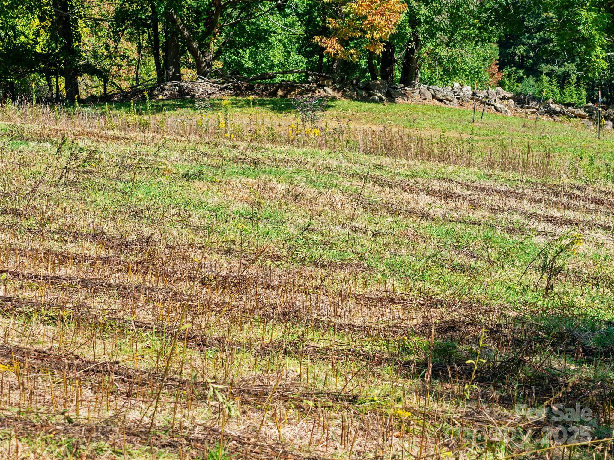 1099 Silas Branch Road Burnsville, NC 28714 - Photo 7 of 30