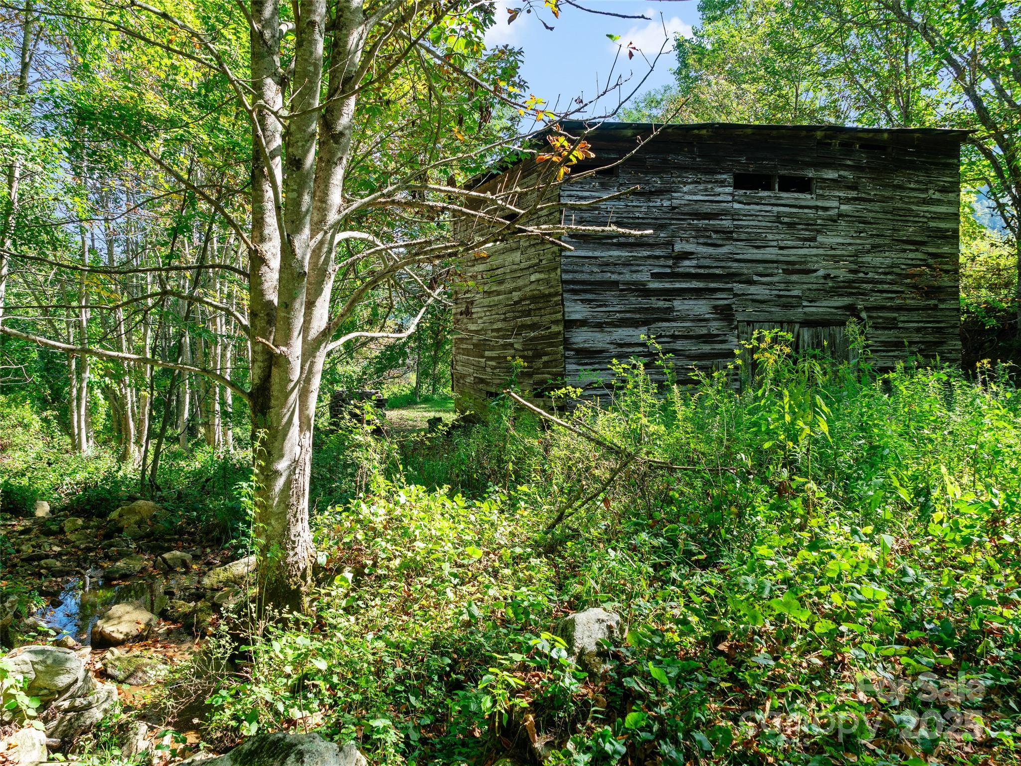 1099 Silas Branch Road Burnsville, NC 28714 - Photo 8 of 30