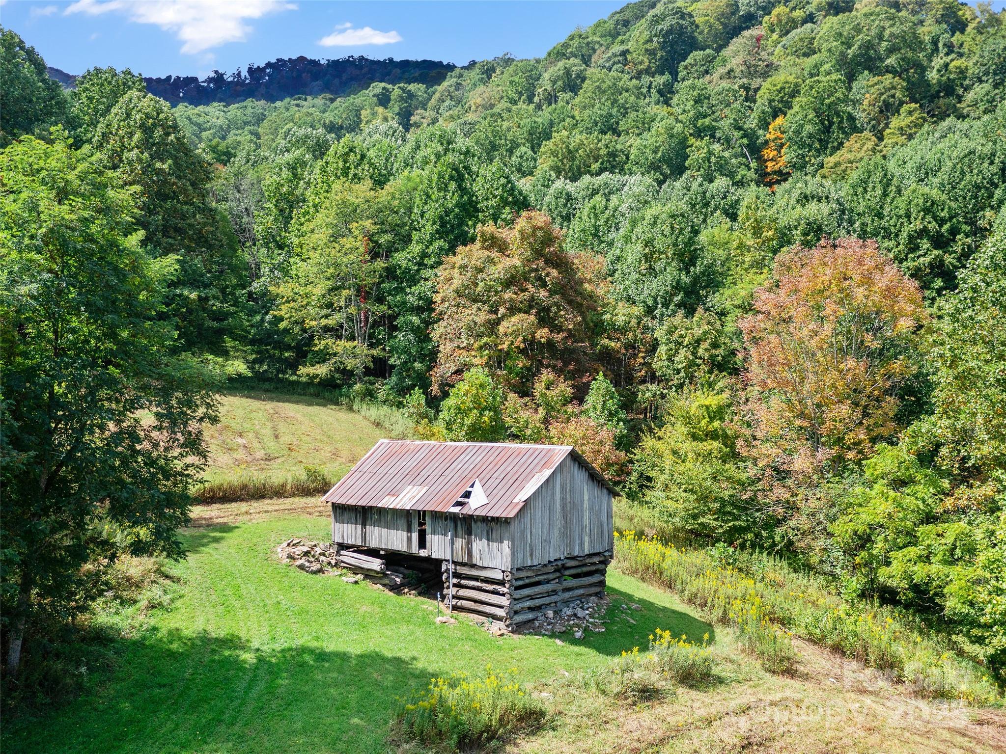 1099 Silas Branch Road Burnsville, NC 28714 - Photo 9 of 30