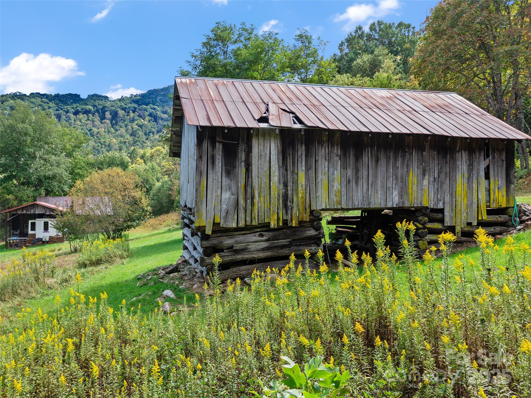 1099 Silas Branch Road Burnsville, NC 28714 - Photo 10 of 30