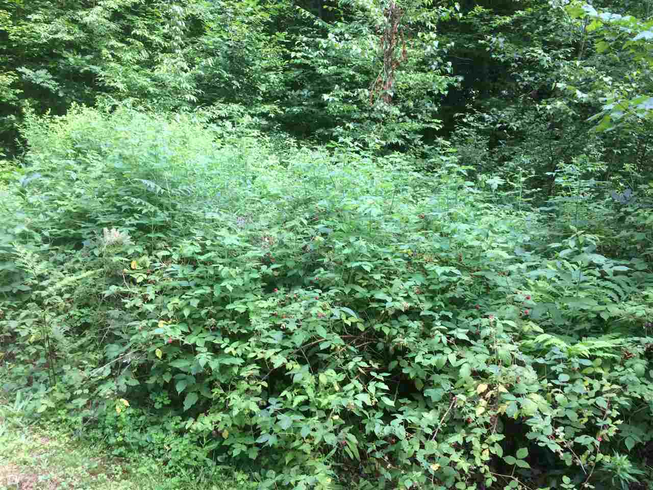 3 Old Lantern Road Hillsborough, NH 03244 - Photo 13 of 13 Gallery Image 13