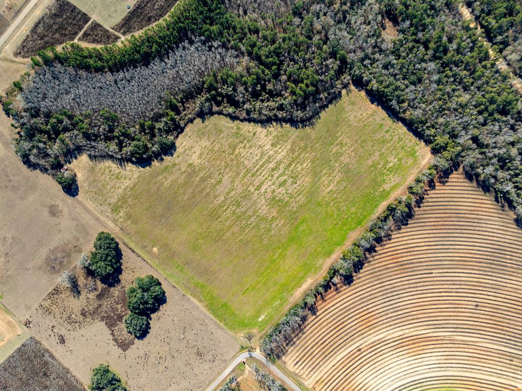 31.5-ac 31.5-ac Rammer Loop Road Dothan, AL 36301 - Photo 16 of 49