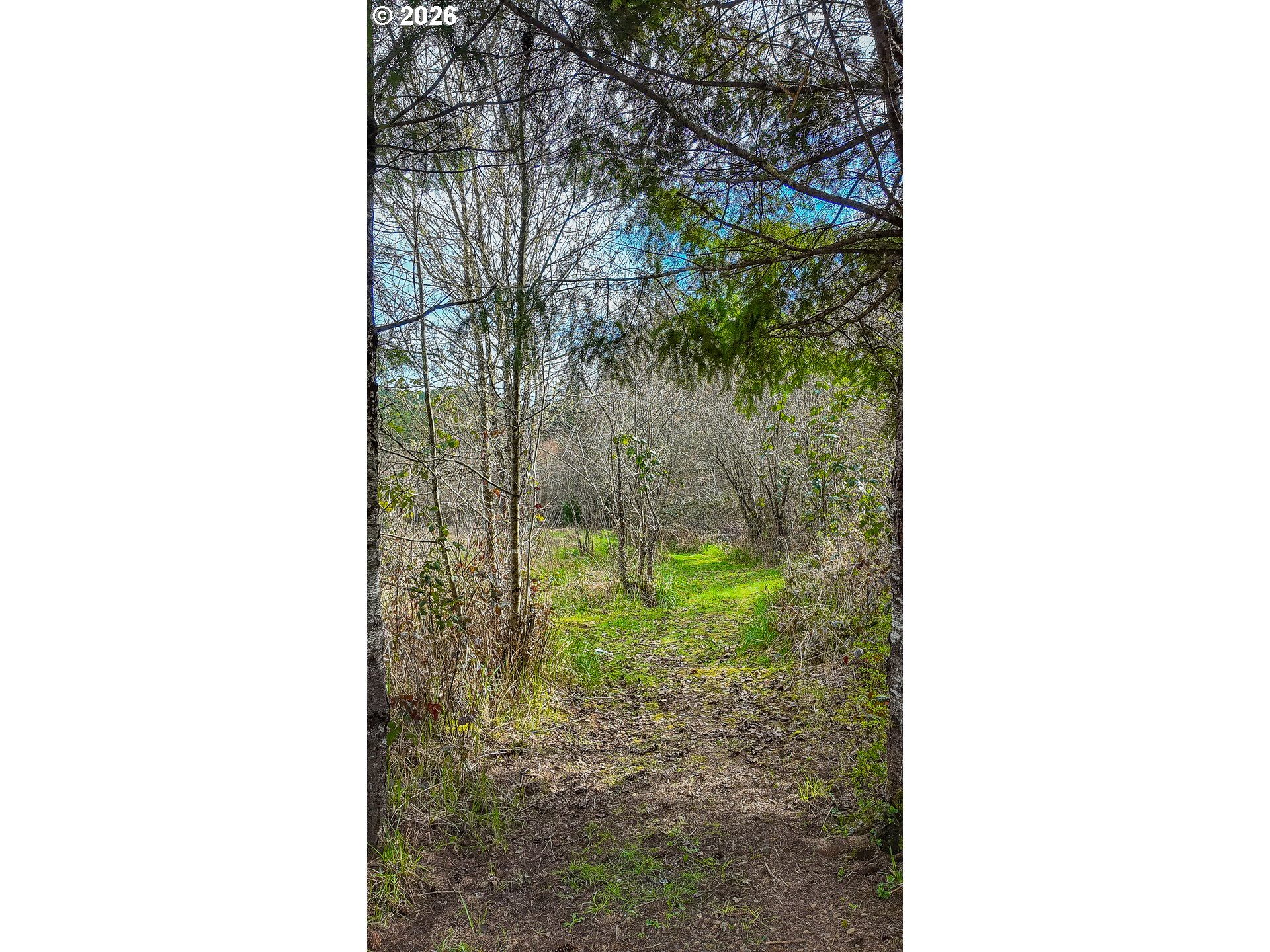 21542 Highway 126 Noti, OR 97461 - Photo 11 of 14