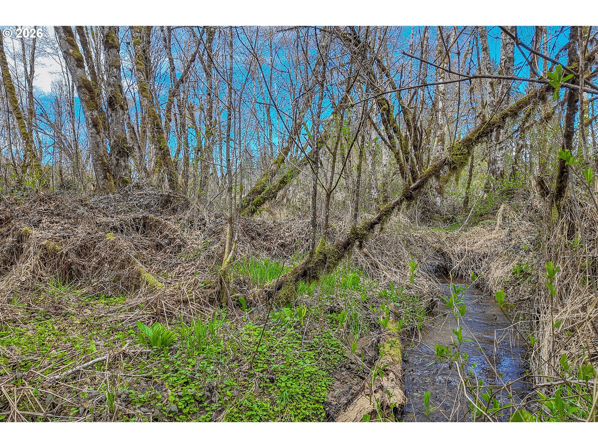 21542 Highway 126 Noti, OR 97461 - Photo 2 of 14