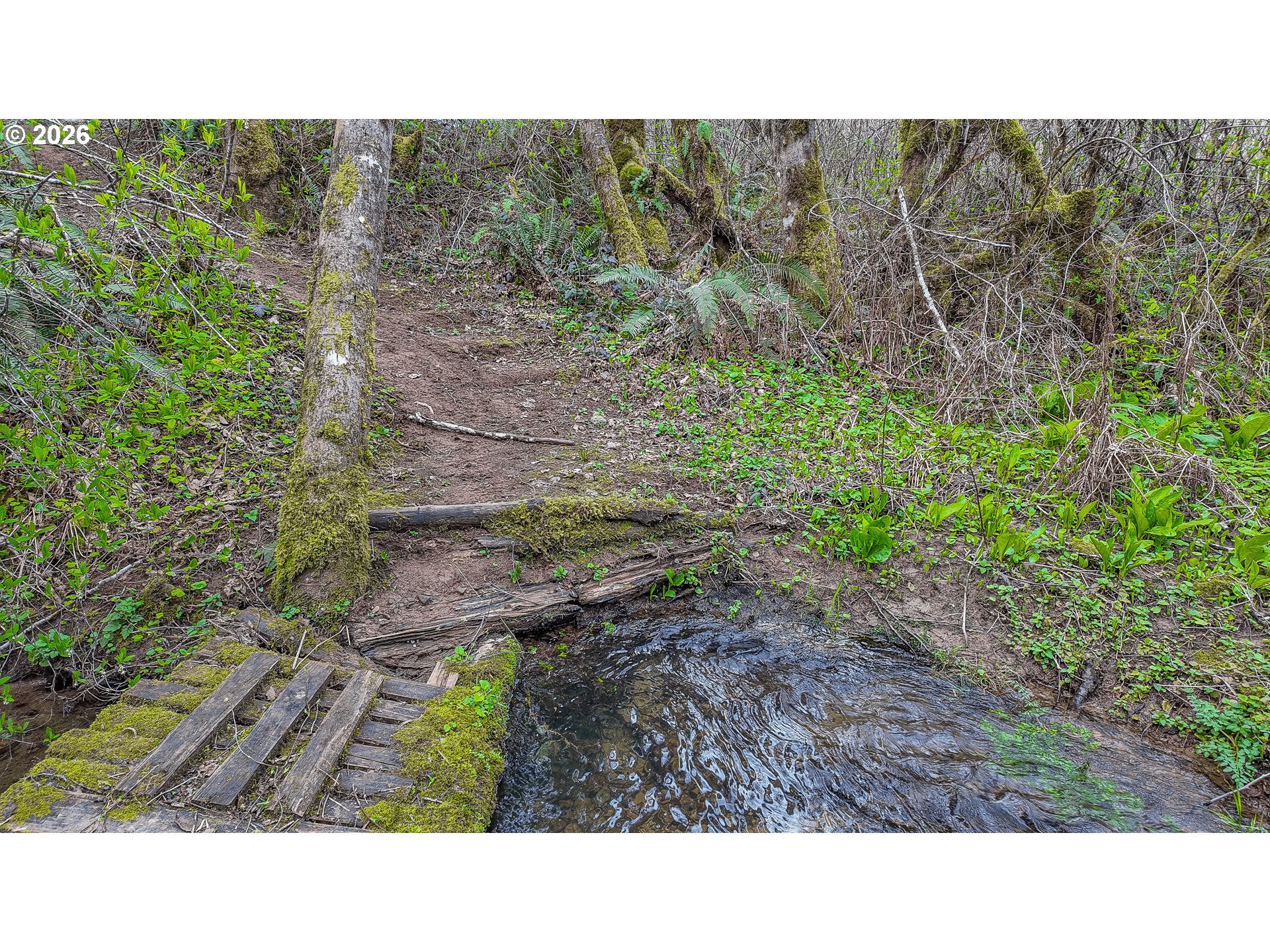 21542 Highway 126 Noti, OR 97461 - Photo 4 of 14