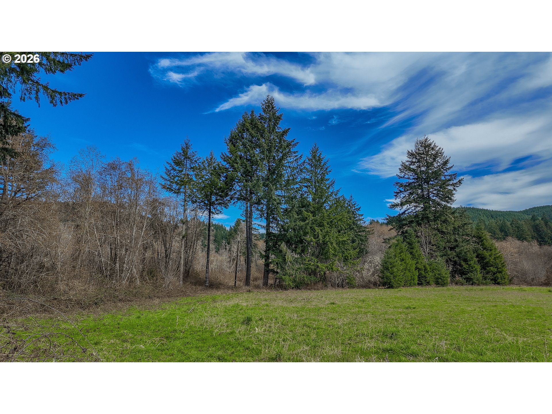21542 Highway 126 Noti, OR 97461 - Photo 5 of 14