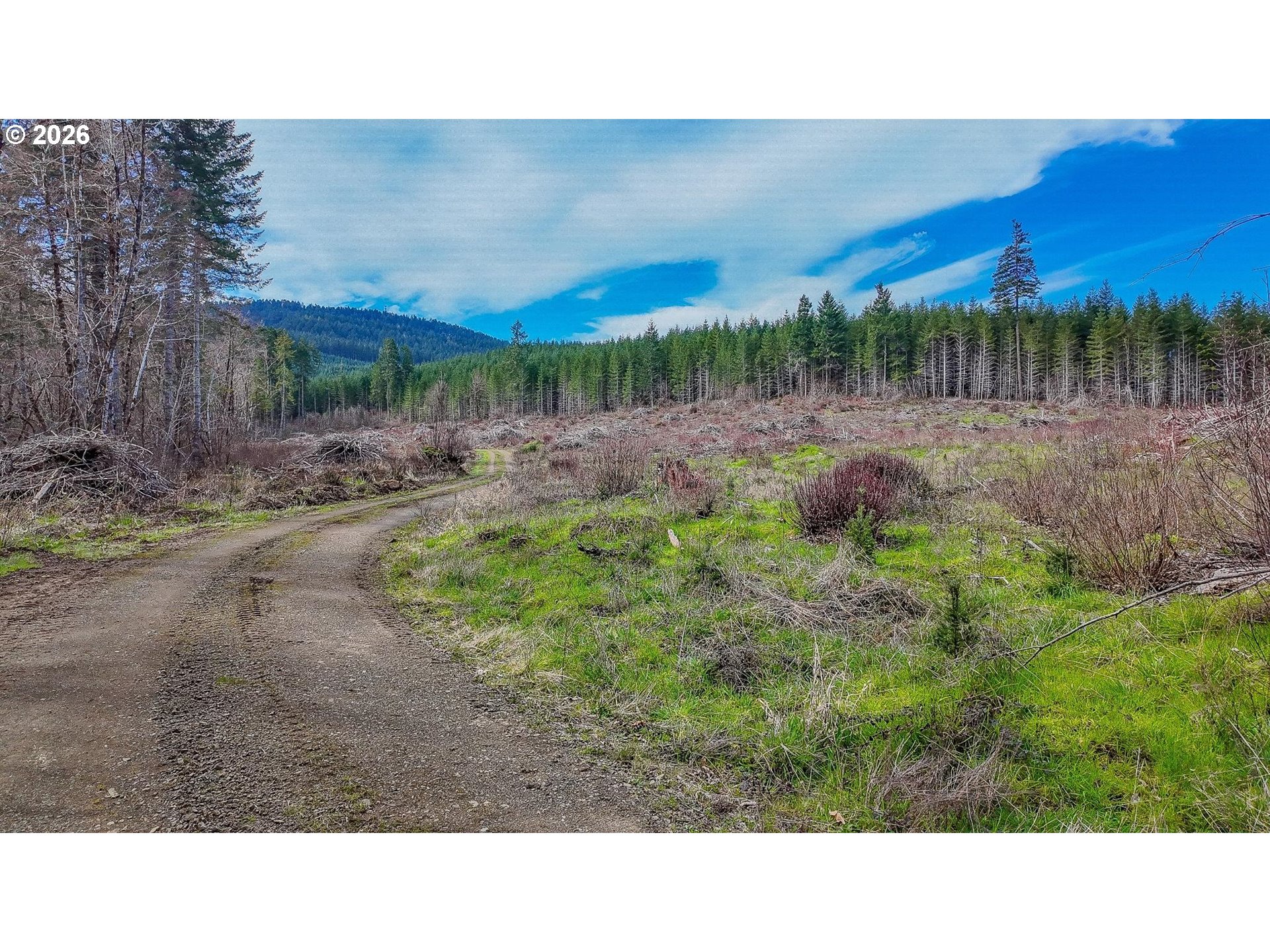 21542 Highway 126 Noti, OR 97461 - Photo 6 of 14