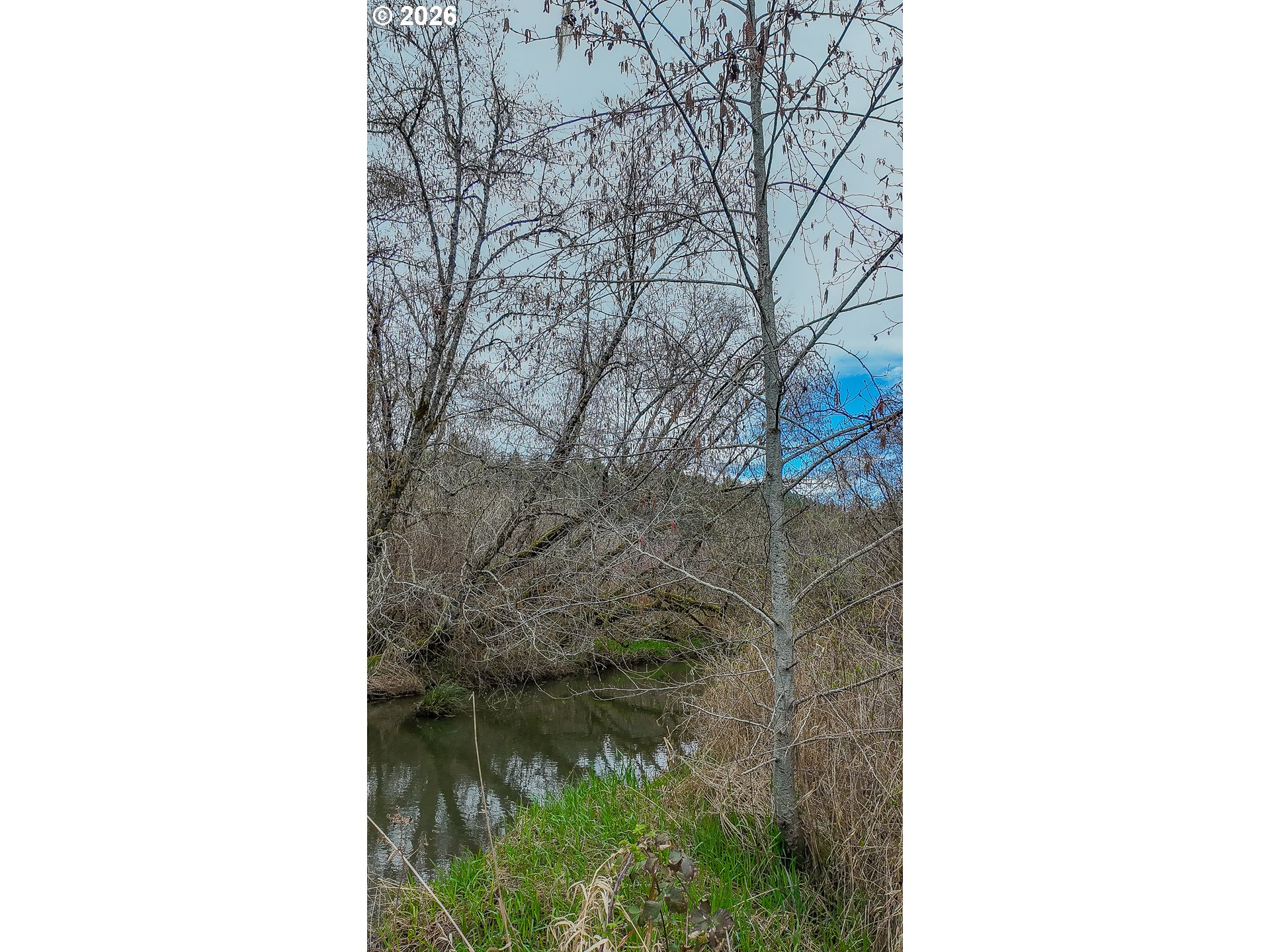 21542 Highway 126 Noti, OR 97461 - Photo 8 of 14