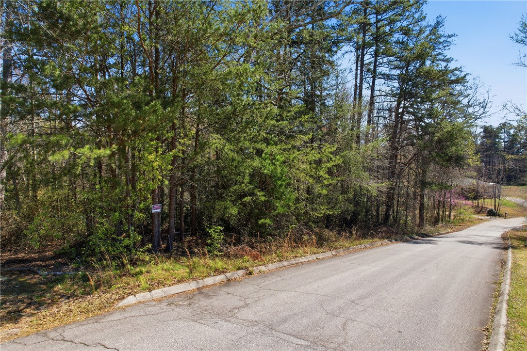 0 Springdale Avenue Liberty, SC 29657 - Photo 2 of 12 Mature trees line this expansive lot, offering a natural setting for a future home.