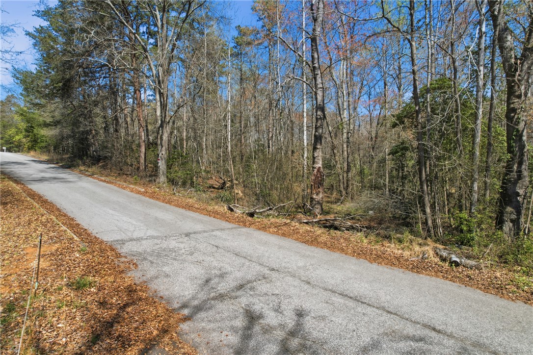 0 Springdale Avenue Liberty, SC 29657 - Photo 3 of 12 This verdant lot offers a serene retreat with ample space for building your dream home.