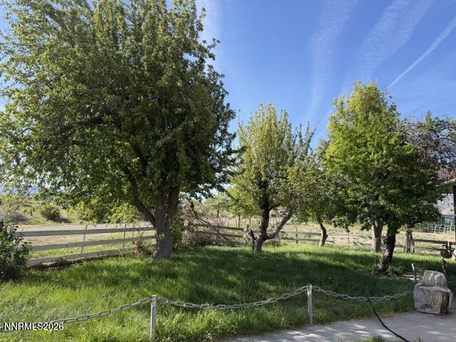 61 Rivers Road Smith, NV 89430 - Photo 42 of 57 a view of backyard with green space