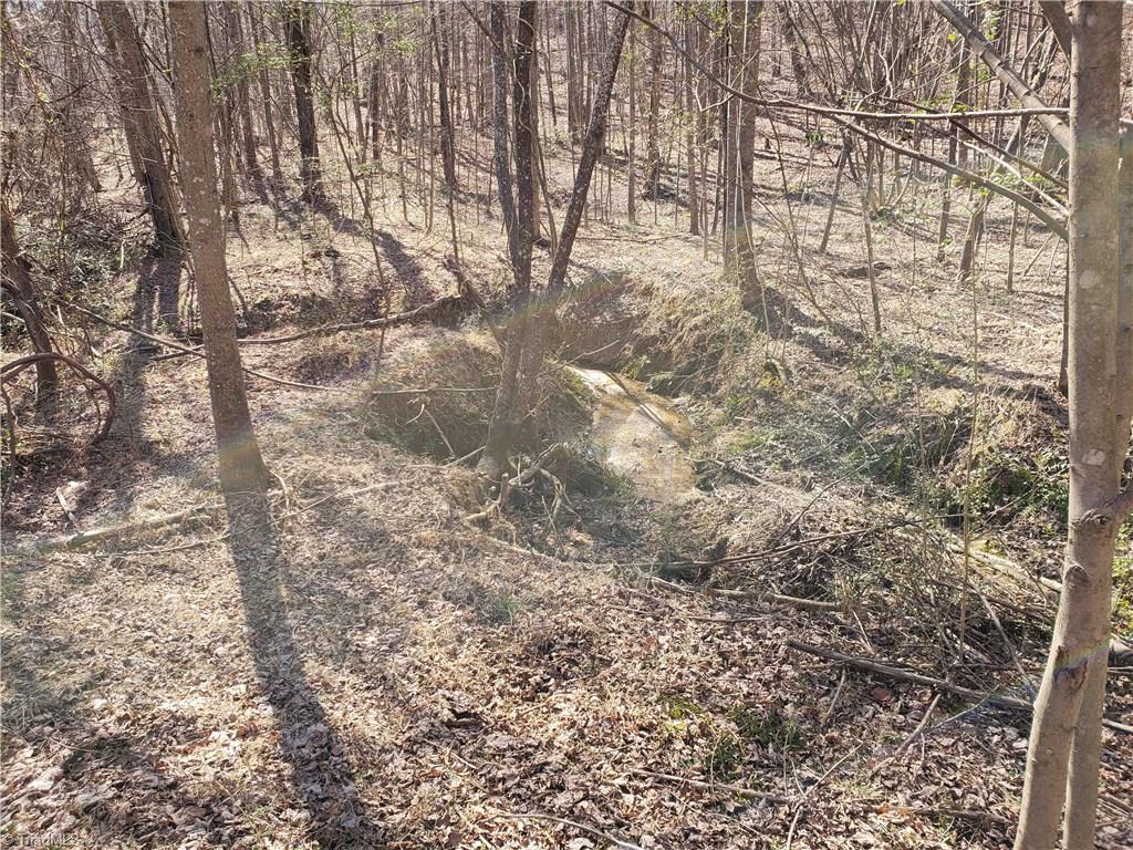 52 Rd Pinnacle Nc 27043 Road Pinnacle, NC 27043 - Photo 3 of 11