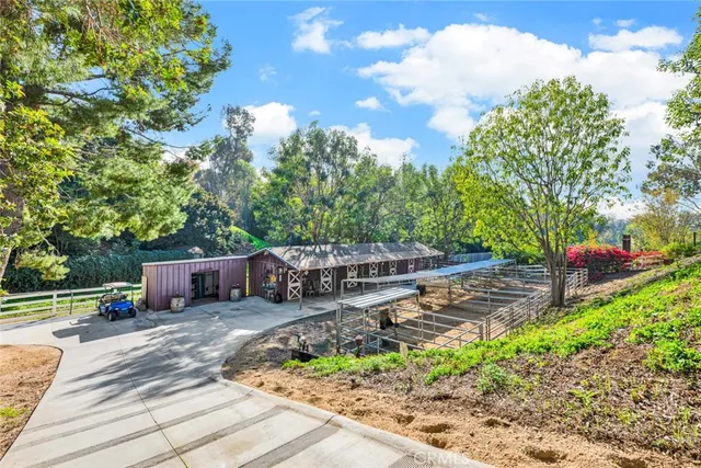 a view of a yard with plants and trees