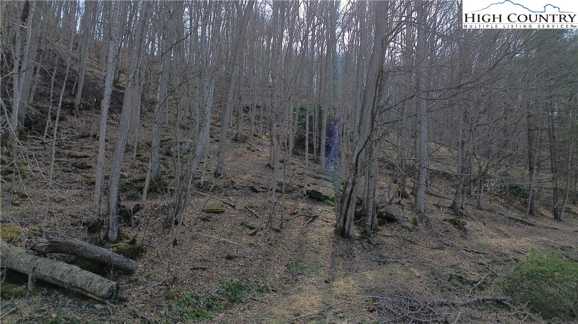 Parker Eller Road Warrensville, NC 28693 - Photo 2 of 9 Gallery Image 2