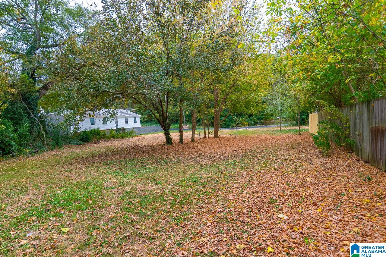 3708 Perry Street Guntersville, AL 35976 - Photo 8 of 29