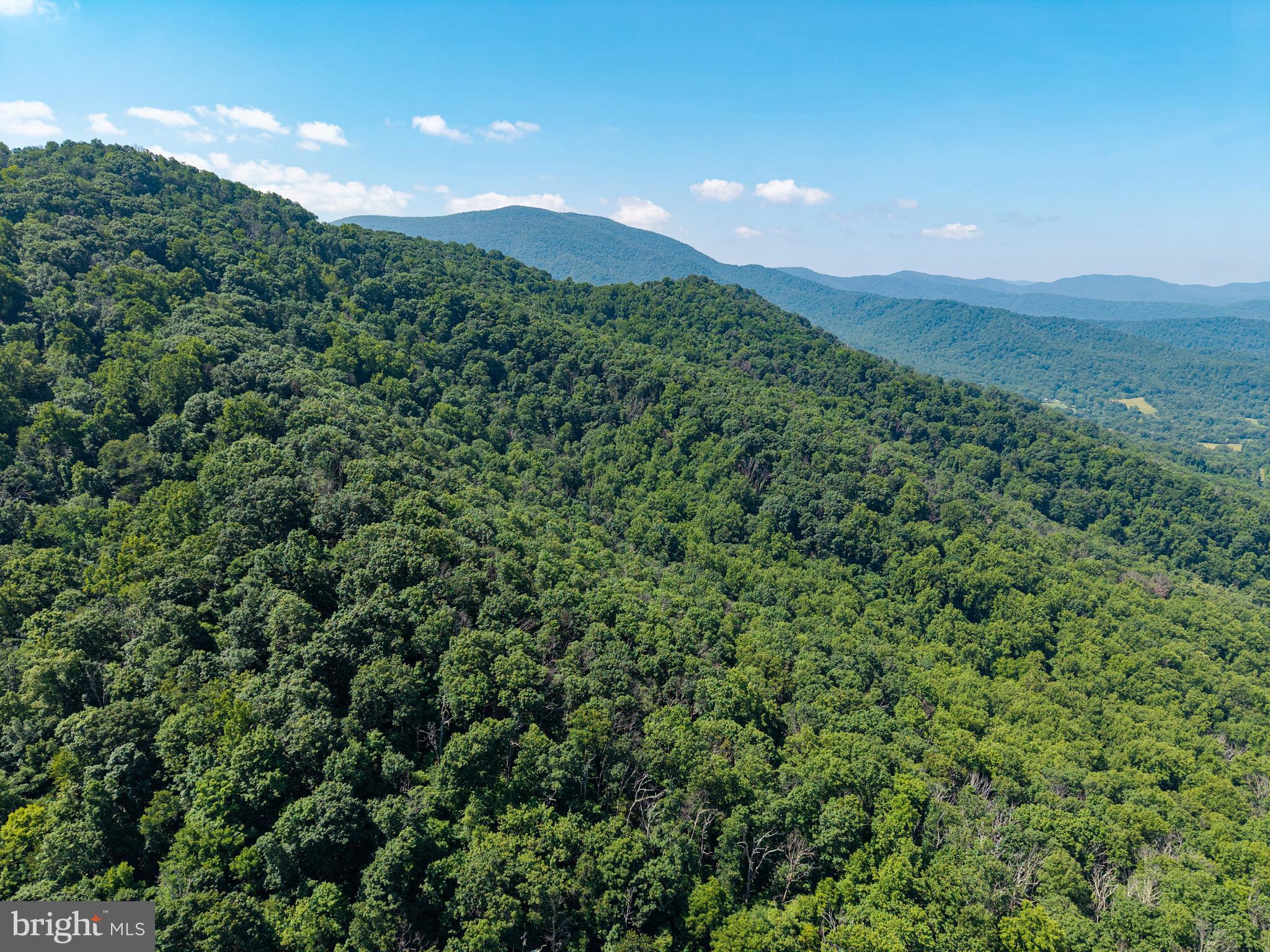 0 Helms Road Stanley, VA 22851 - Photo 8 of 50