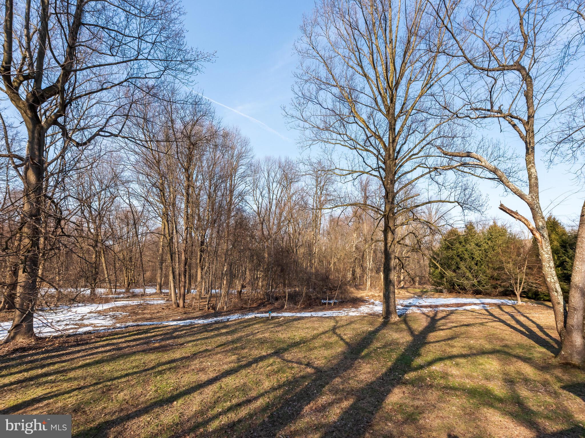 855 Highspire Road Glenmoore, PA 19343 - Photo 39 of 45 Level backyard views w seemingly endless trees