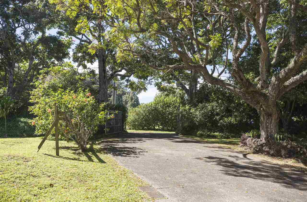 2555 Lemi Place Haiku, HI 96708 - Photo 30 of 30 a view of backyard space and trees
