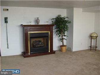 7725 Dungan Road Philadelphia, PA 19111 - Photo 8 of 12 Fireplace