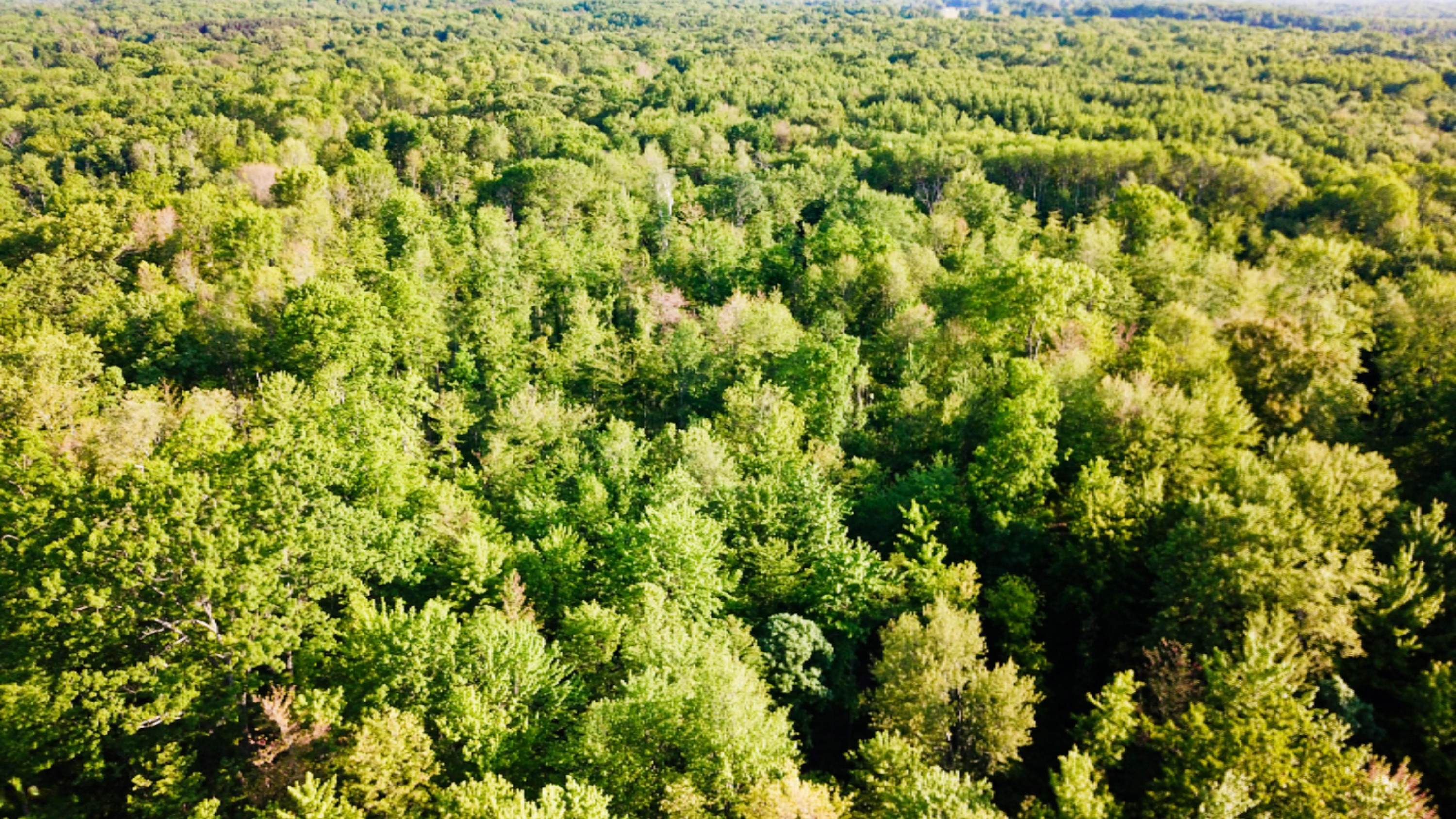 Tbd Harding Road Barryton, MI 49305 - Photo 1 of 10 DJI_0405