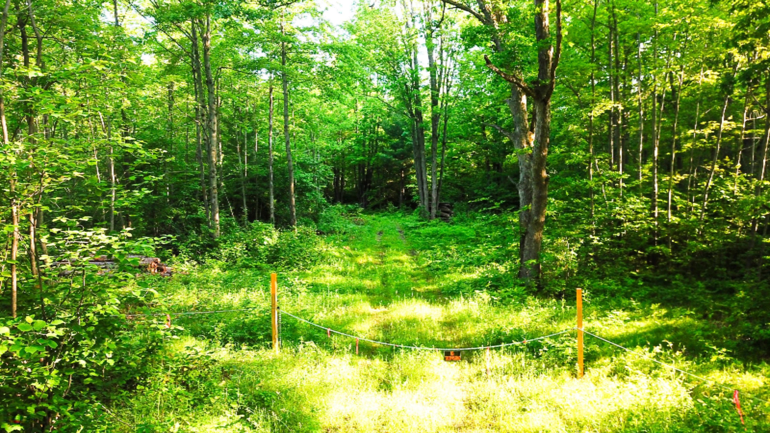 Tbd Harding Road Barryton, MI 49305 - Photo 2 of 10 DJI_0402