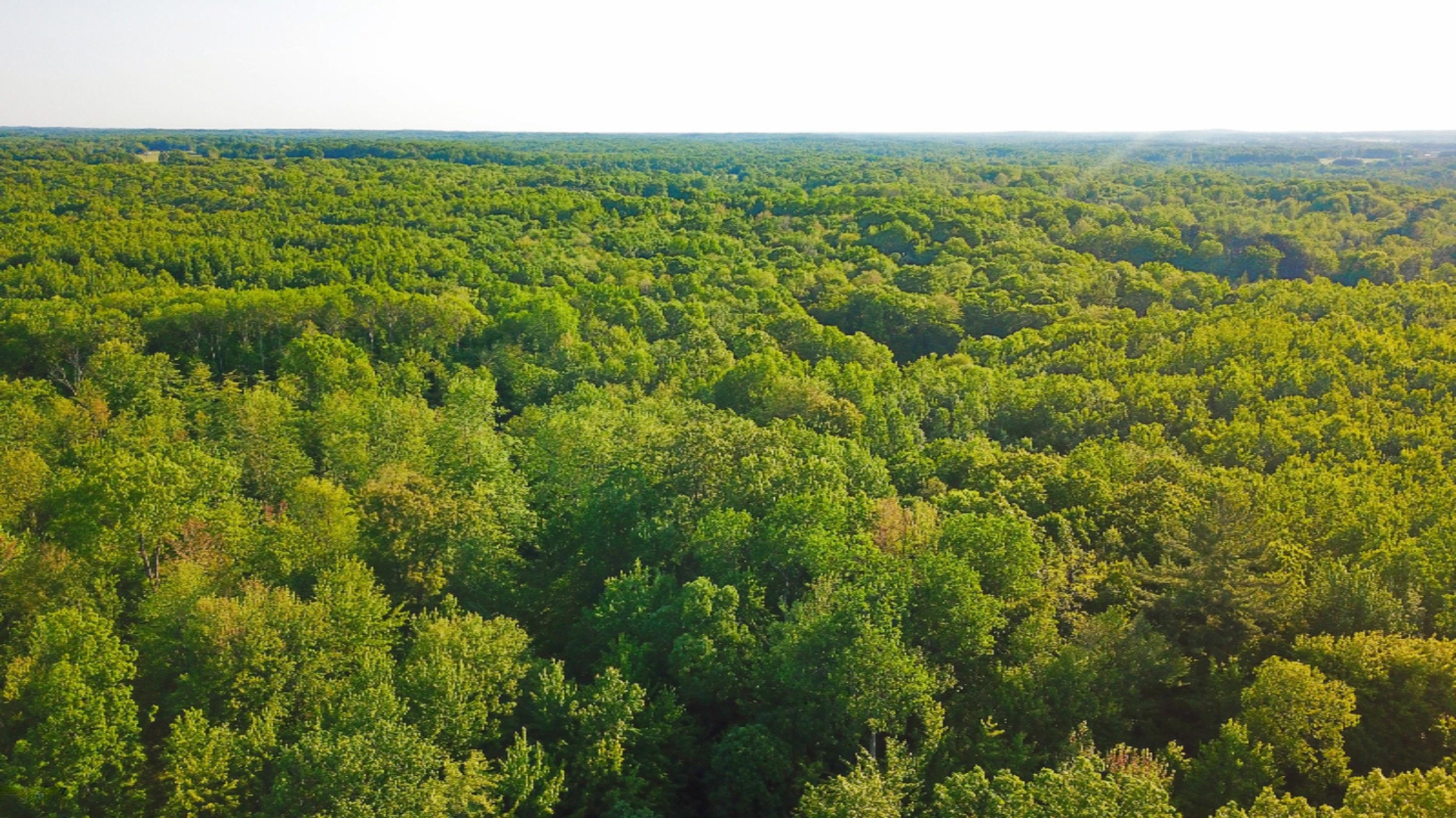 Tbd Harding Road Barryton, MI 49305 - Photo 3 of 10 DJI_0407