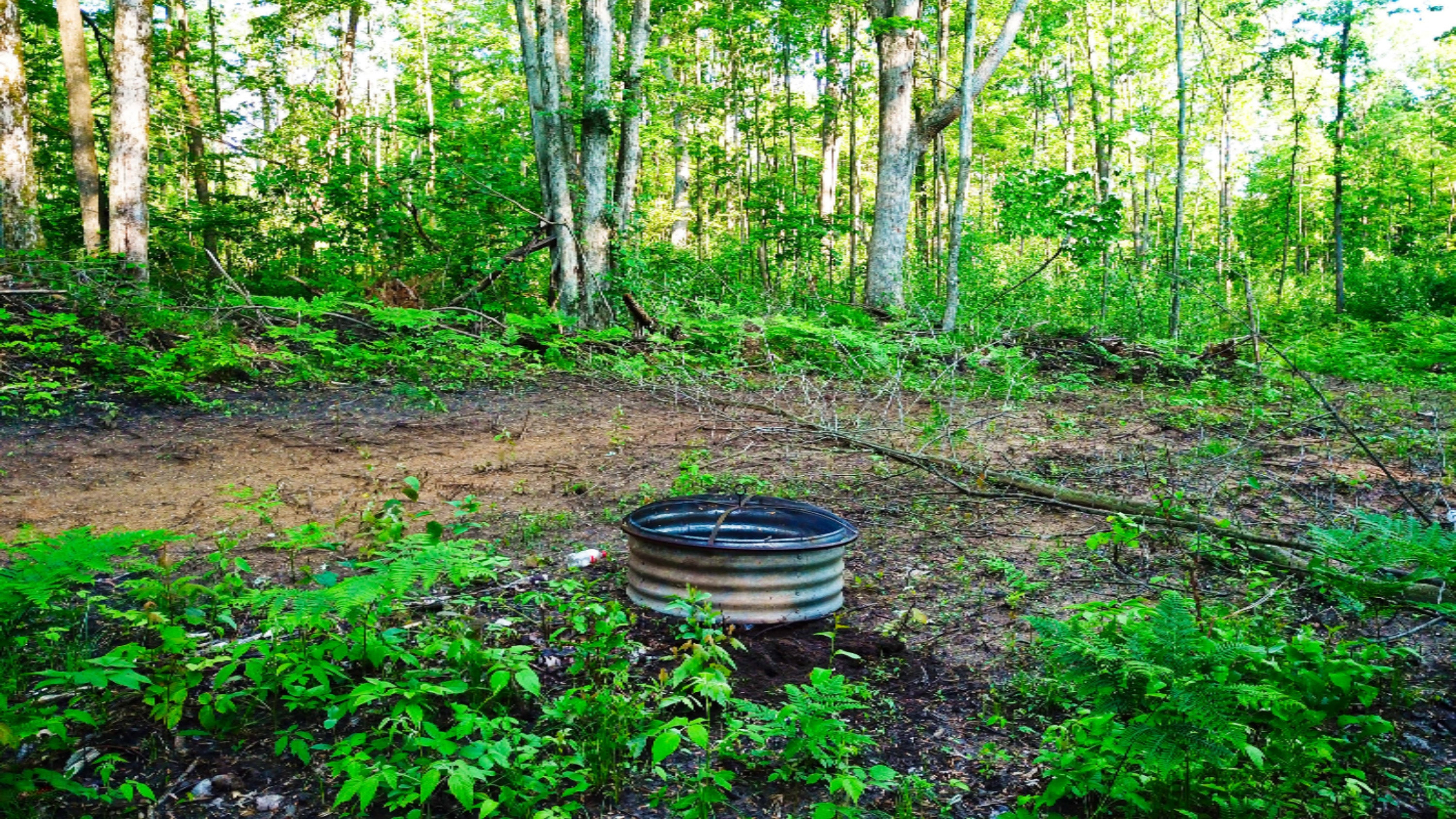 Tbd Harding Road Barryton, MI 49305 - Photo 9 of 10 DJI_0413