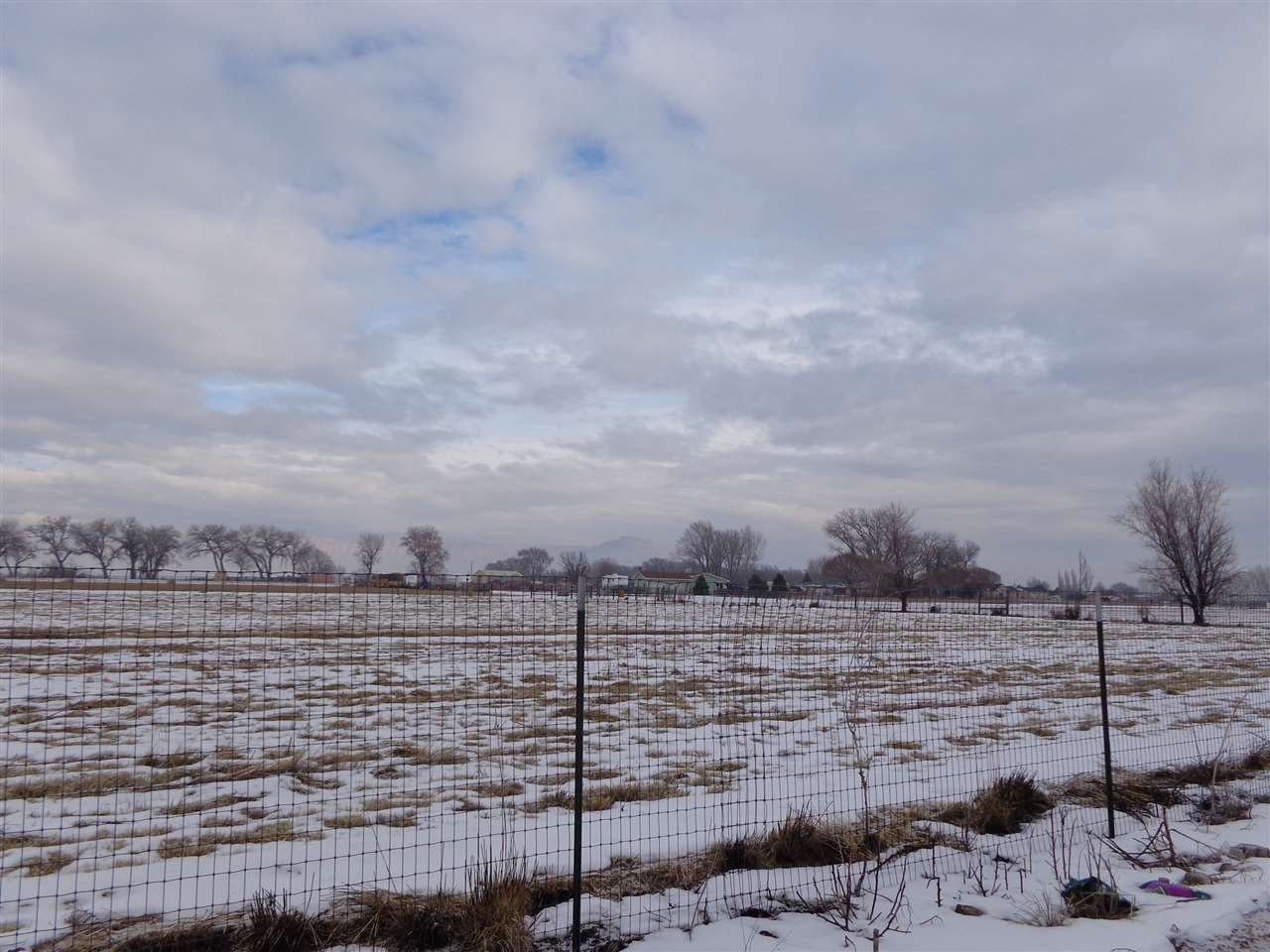 255 31 Road Grand Junction, CO 81503 - Photo 3 of 26 Gallery Image 3