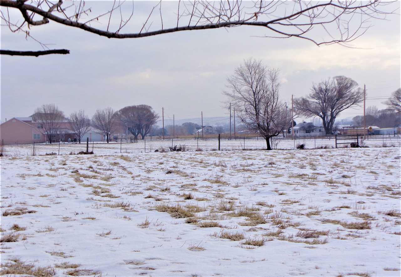 255 31 Road Grand Junction, CO 81503 - Photo 10 of 26 Gallery Image 10