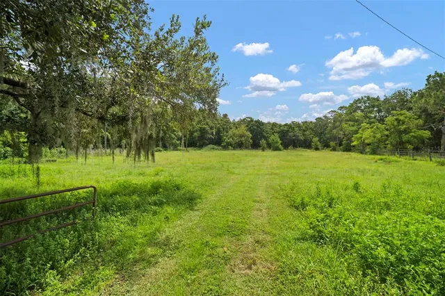 $1,650,000 | 1934 Rowland Drive, Odessa, FL 33556