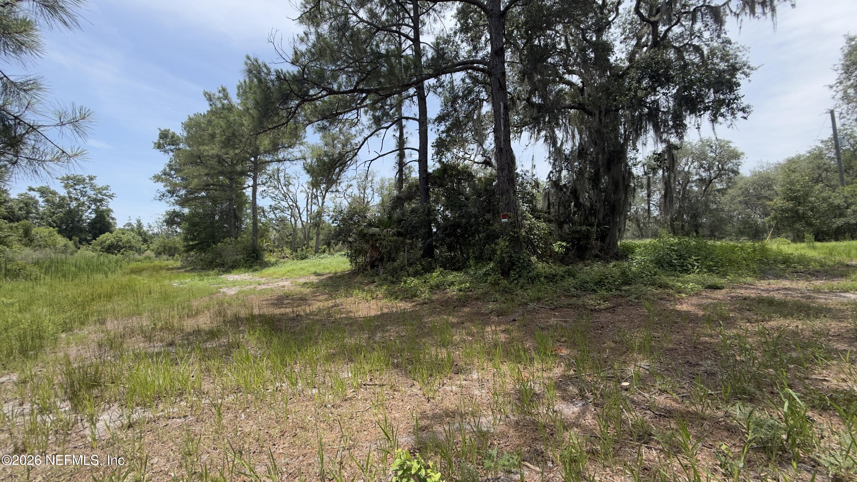 113 Spruce Court Interlachen, FL 32148 - Photo 6 of 6 6) 71926-6a35cd8b502cd