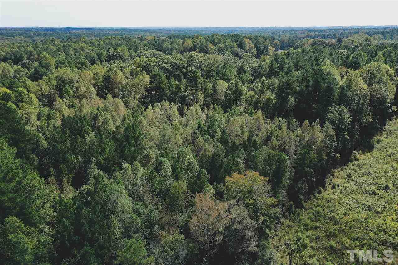 4.8-ac Williams Road Spring Hope, NC 27882 - Photo 6 of 12