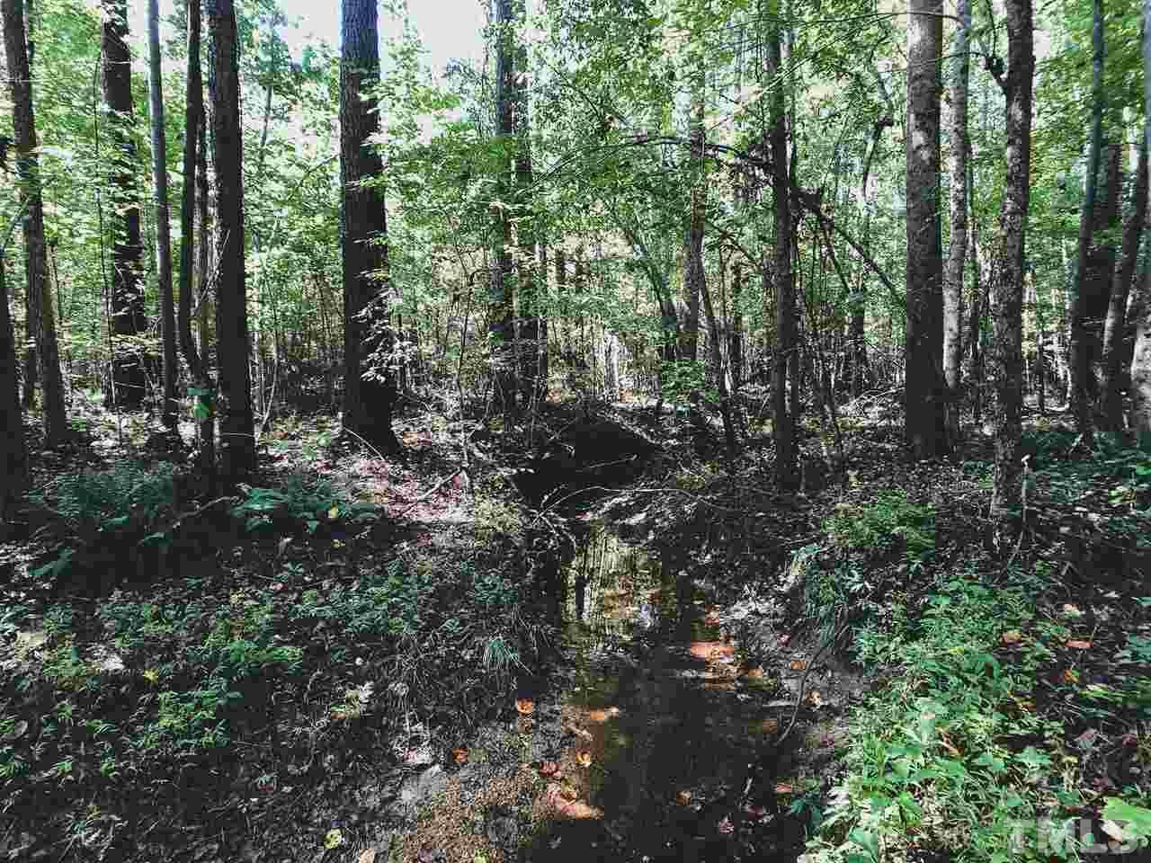 4.8-ac Williams Road Spring Hope, NC 27882 - Photo 9 of 12