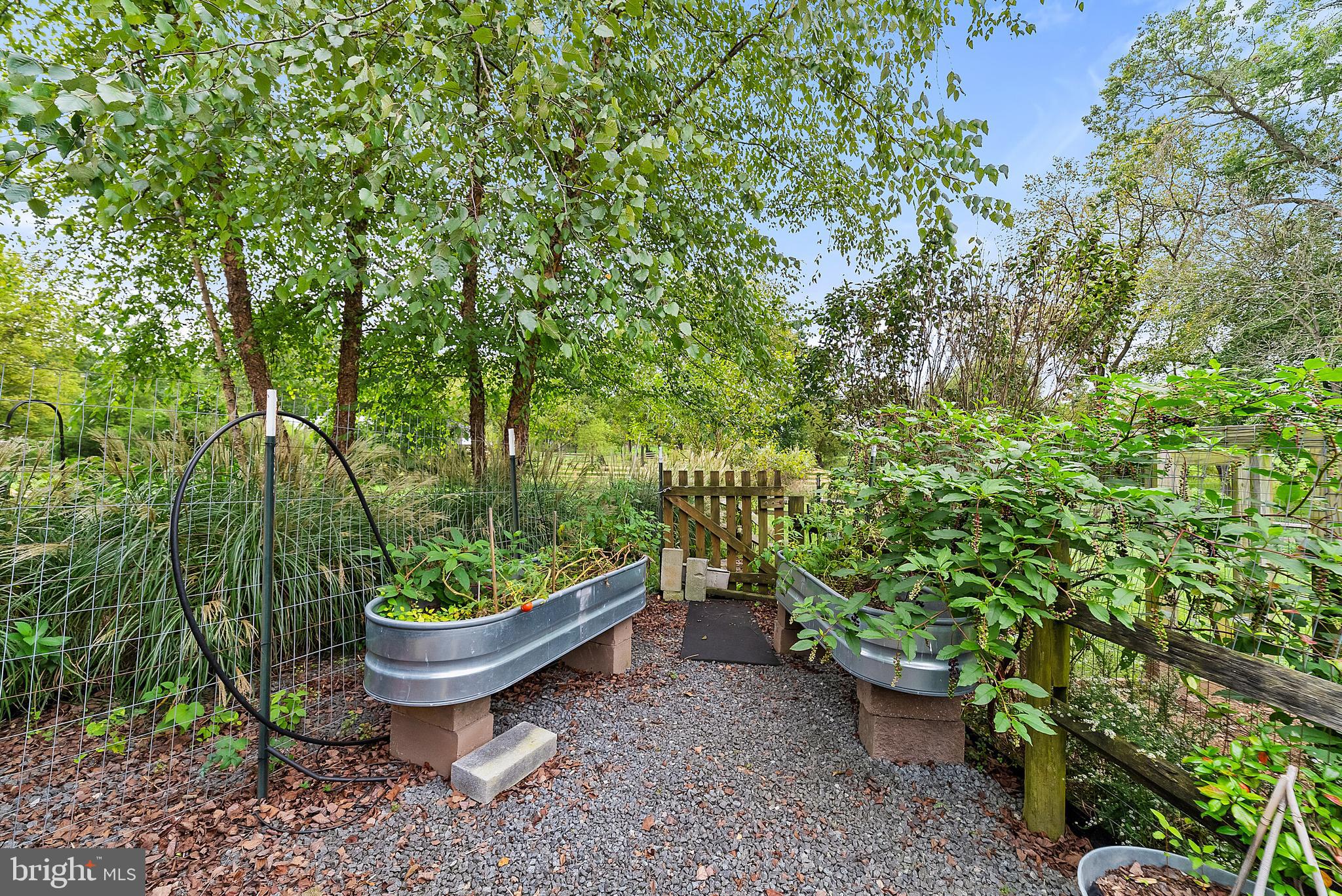 22235 Newlin Mill Road Middleburg, VA 20117 - Photo 85 of 106 Perfect spot for growing herbs and vegetables