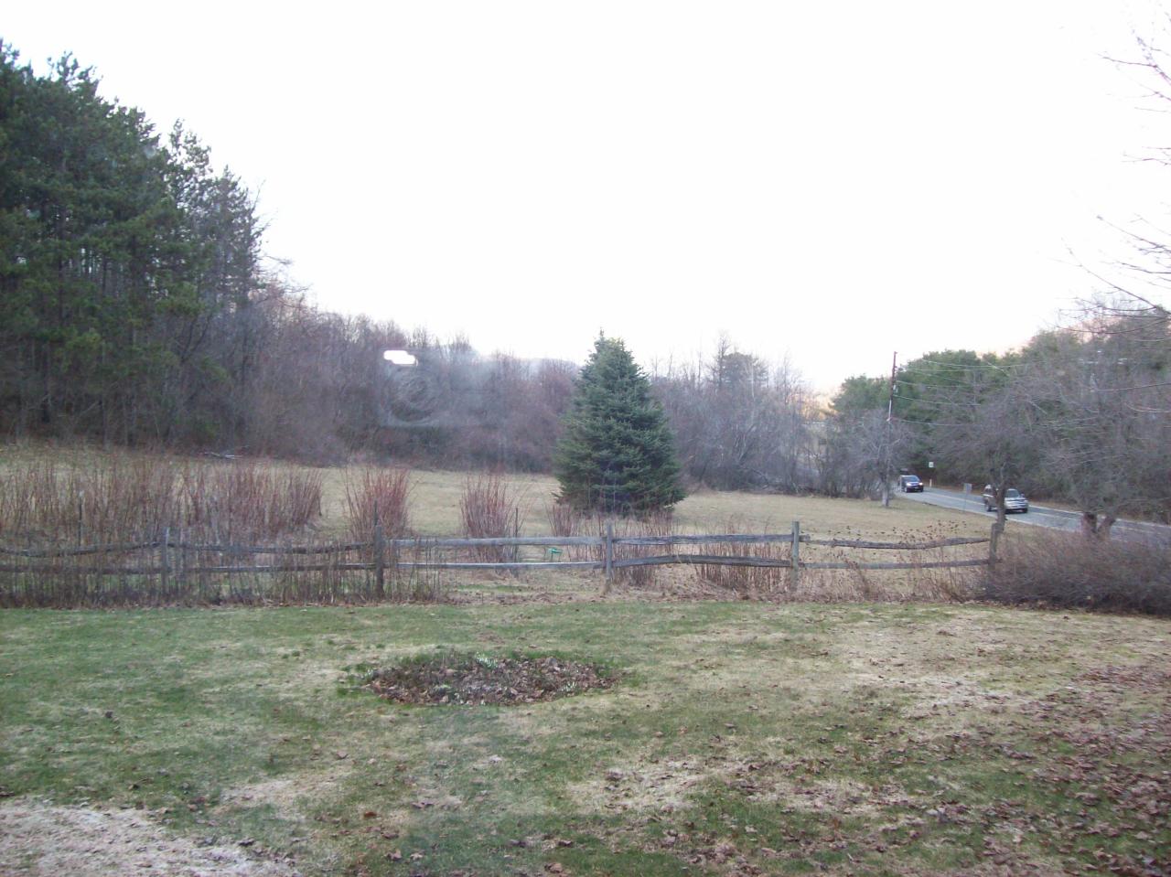 397 Partridge Road Pittsfield, MA 01201 - Photo 3 of 13 Yard facing North
