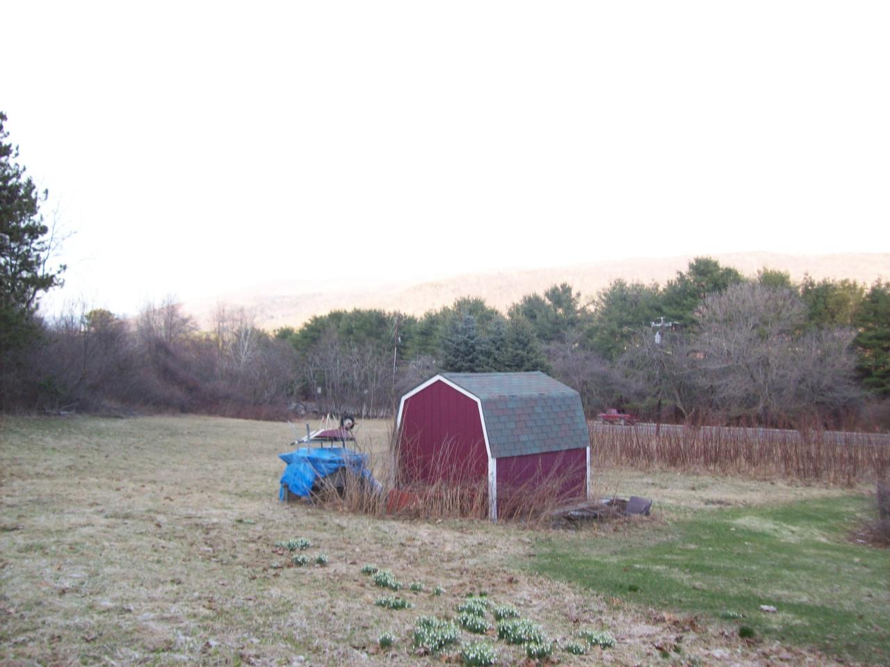 397 Partridge Road Pittsfield, MA 01201 - Photo 4 of 13 Yard