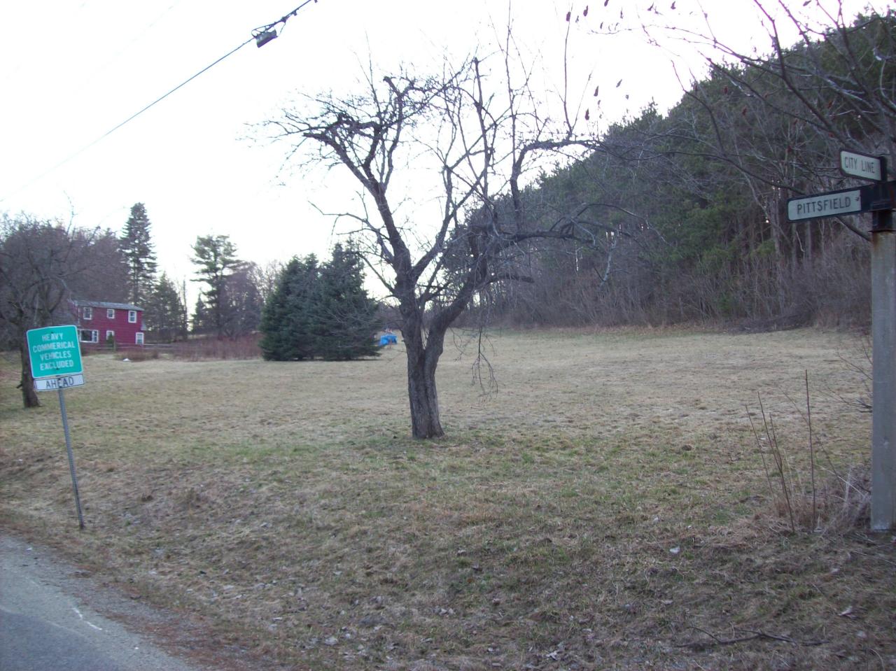 397 Partridge Road Pittsfield, MA 01201 - Photo 5 of 13 Street and Yard facing South