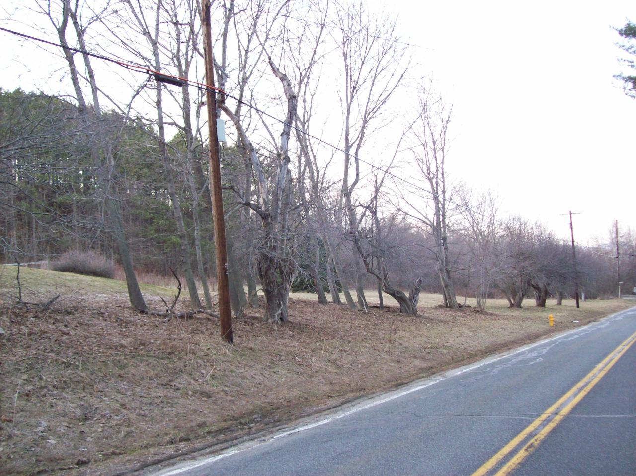 397 Partridge Road Pittsfield, MA 01201 - Photo 6 of 13 Street View